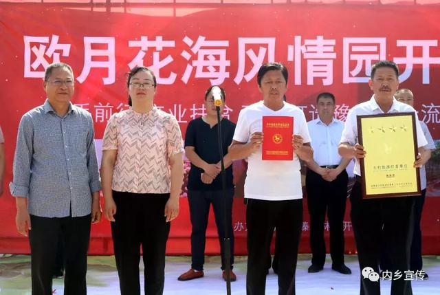 游玩好去處！內(nèi)鄉(xiāng)縣灌漲鎮(zhèn)歐月花海風(fēng)情園盛妝開園(圖6)