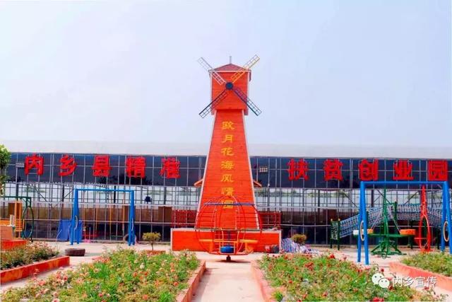 游玩好去處！內(nèi)鄉(xiāng)縣灌漲鎮(zhèn)歐月花海風(fēng)情園盛妝開園(圖2)