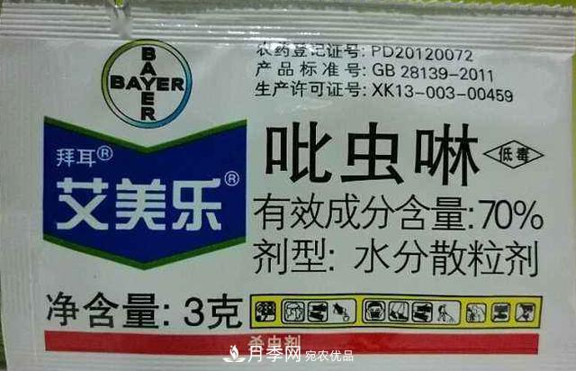 月季的常備藥品有哪些？收好了！(圖4)