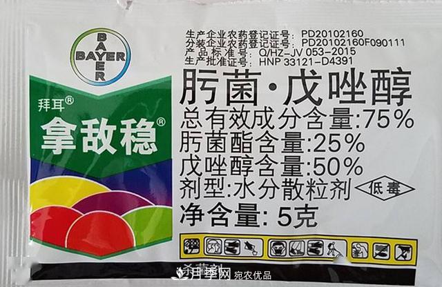 月季的常備藥品有哪些？收好了！(圖5)