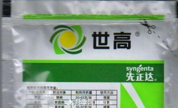 月季的常備藥品有哪些？收好了！(圖6)