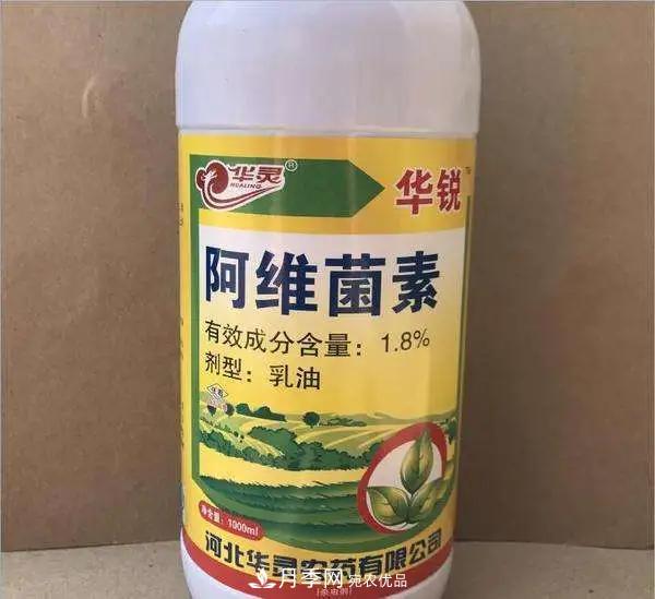 月季的常備藥品有哪些？收好了！(圖9)
