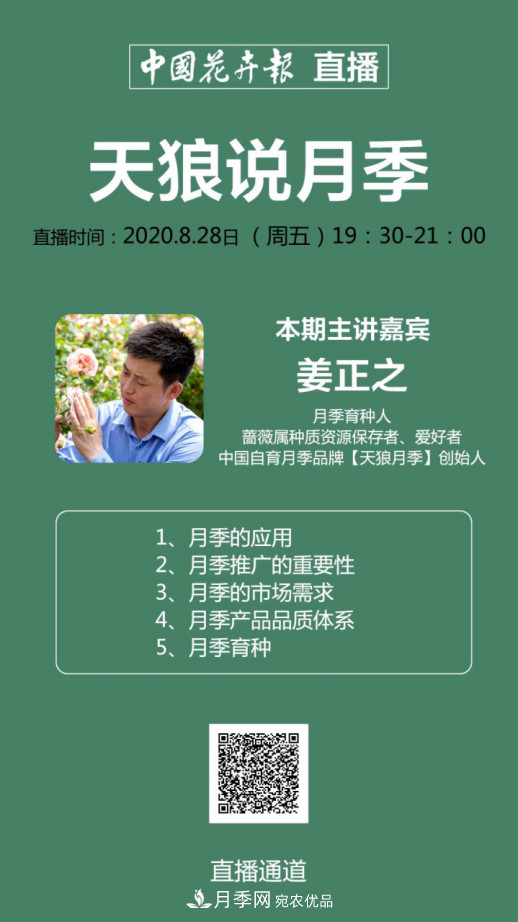 「直播預(yù)告」聽天狼細說月季的現(xiàn)在與未來(圖13)