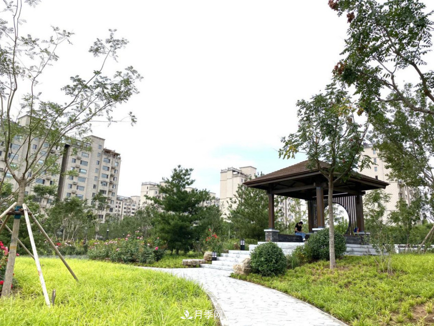 免費(fèi)，景美，有兒童活動(dòng)區(qū)！北京密云月季公園，你去了嗎！(圖3)