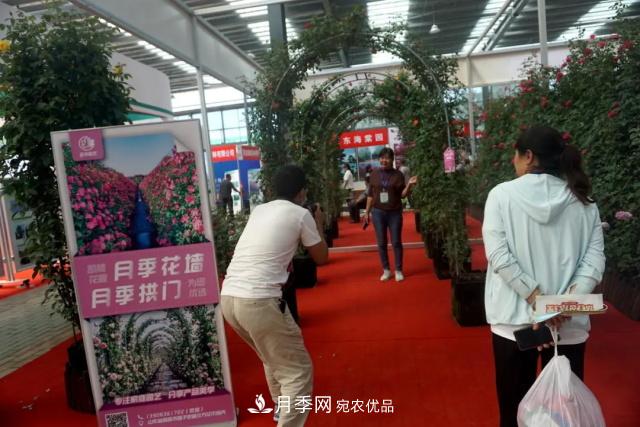 焦“綠”的苗木人，在山東昌邑園林花木會展上收獲了什么(圖3)