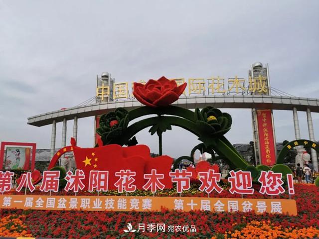 第八屆中國(guó)·沭陽(yáng)花木節(jié)開(kāi)幕，參觀盆景界的“奧林匹克”(圖1)
