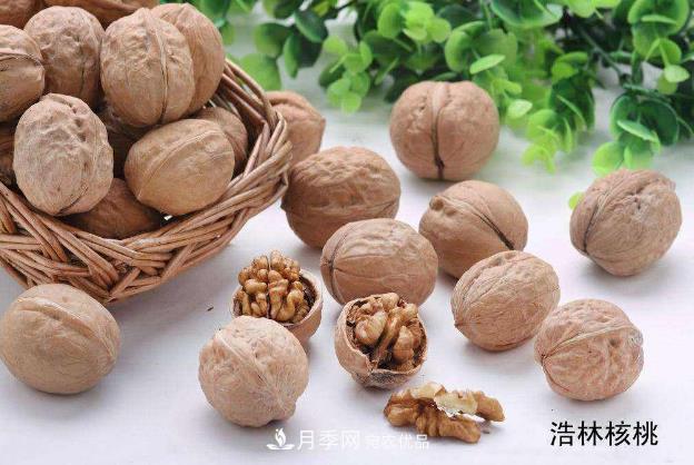 南陽市內鄉(xiāng)縣萬畝林果基地 助力農民脫貧奔小康(圖1)