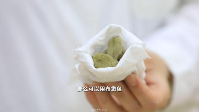 公園里種的玉蘭也是一味藥材，是真的嗎？(圖7)
