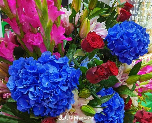 遼寧花卉，合肥斗艷，走進(jìn)2020年中國安徽名優(yōu)農(nóng)產(chǎn)品交易會(huì)(圖1)