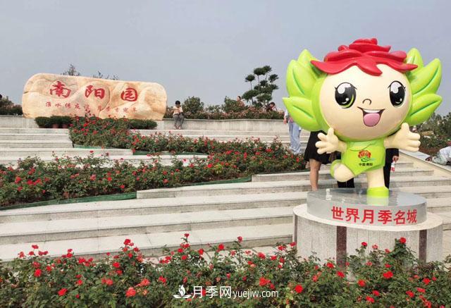 退林還耕政策下不要慌，南陽苗木人需要做好這三件事(圖1)
