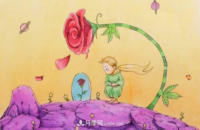 小王子愛的是“月季花”？(圖3)
