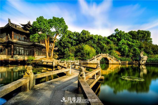 園林綠化樹(shù)苗木的培育技術(shù)，效益可觀！(圖1)