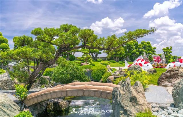 園林綠化樹(shù)苗木的培育技術(shù)，效益可觀！(圖4)