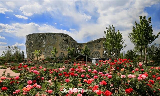 世界月季主題園在中國(guó)月季展中榮獲金獎(jiǎng)！(圖2)