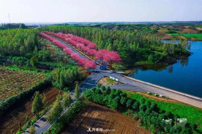 襄陽樊城區(qū)景觀“一號公路”下個月通車，顏值驚人！(圖1)