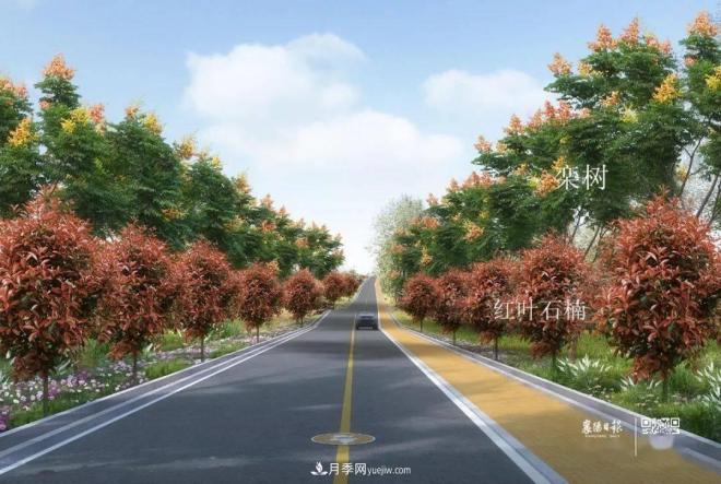 襄陽樊城區(qū)景觀“一號公路”下個月通車，顏值驚人！(圖6)