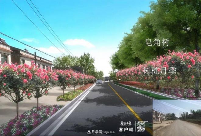 襄陽樊城區(qū)景觀“一號公路”下個月通車，顏值驚人！(圖8)