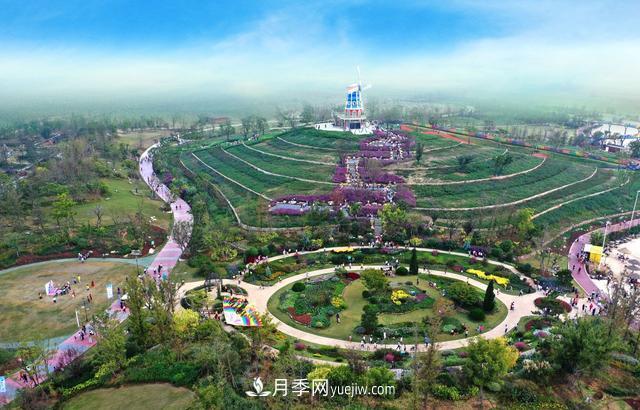 合肥苗交會(huì)簽約77億元，合作成果豐碩(圖3)