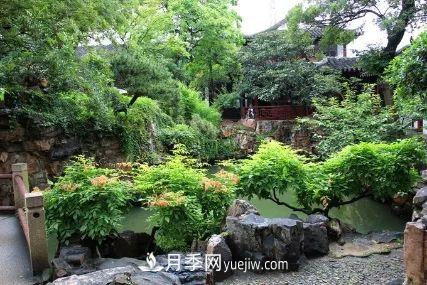 據(jù)說(shuō)中國(guó)人每到一個(gè)地方，都要去看看當(dāng)?shù)氐膱@林？(圖3)