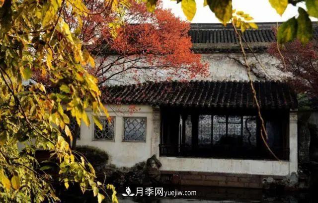 據(jù)說(shuō)中國(guó)人每到一個(gè)地方，都要去看看當(dāng)?shù)氐膱@林？(圖1)