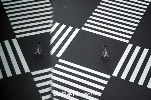 2020年歪果仁選中的年度詞匯，其實(shí)都說(shuō)了一件事(圖3)