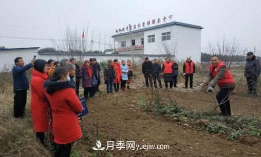 南陽市林科院林學(xué)苗木服務(wù)團赴社旗縣開展送科技下鄉(xiāng)系列活動(圖1)
