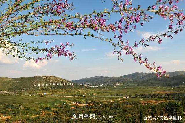 安徽淮北旅游，9個(gè)必去的景點(diǎn)盤點(diǎn)(圖1)