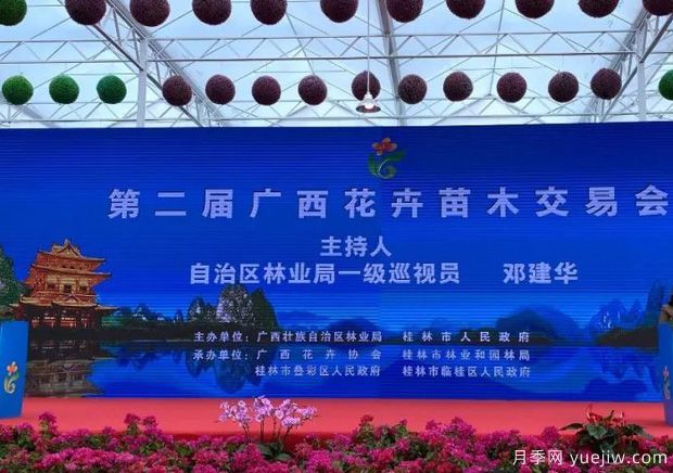花開八桂壯美廣西，第二屆廣西花卉苗木交易會(huì)開幕(圖1)