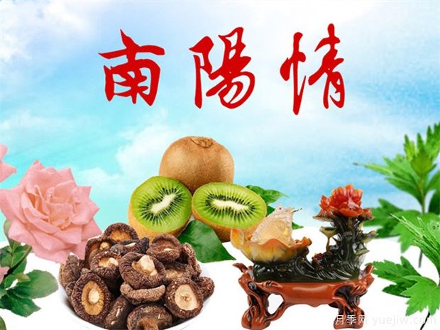 南陽西峽：實施知識產(chǎn)權(quán)強(qiáng)縣戰(zhàn)略(圖1)
