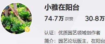 養(yǎng)花自媒體：小雅在陽(yáng)臺(tái)(圖1)