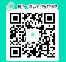 形色app，精準(zhǔn)辨別花卉識(shí)別植物(圖1)