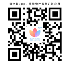 植物智app，植物物種智能識別應用(圖1)