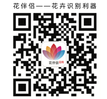 花伴侶app，花卉識別，花草樹木呈名(圖1)