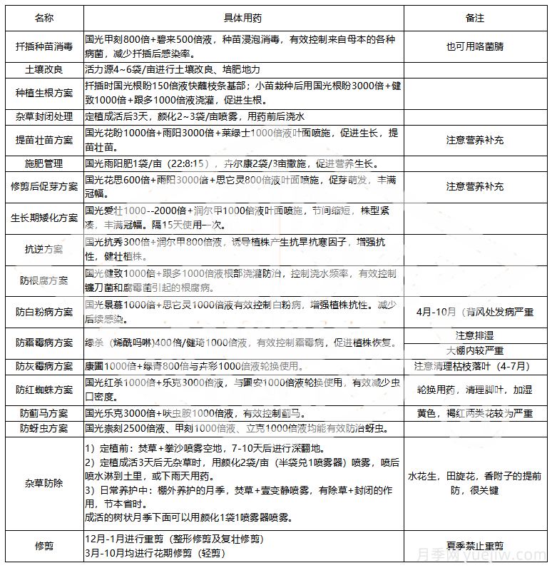 常見月季蟲害防治技術大全，趕快收藏(圖5)