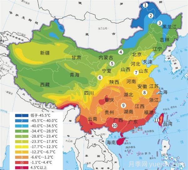 十月月季南北養(yǎng)護大不同？(圖1)