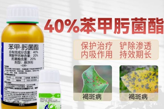 月季打藥怎么配？稀釋很難嗎？(圖1)