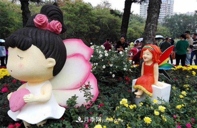 好多年沒(méi)到深圳人民公園看月季花展了，不知今年如何(圖4)