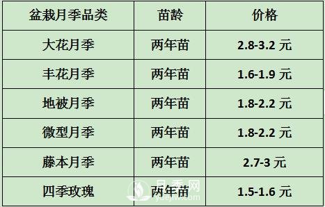 2021年春季盆栽月季市場(chǎng)報(bào)價(jià) 盆花月季多少錢一棵？(圖1)