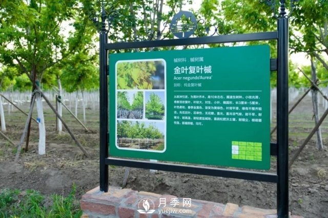 28項(xiàng)行業(yè)標(biāo)準(zhǔn)，198項(xiàng)地方標(biāo)準(zhǔn)，助推北京園林綠化高質(zhì)量發(fā)展(圖4)