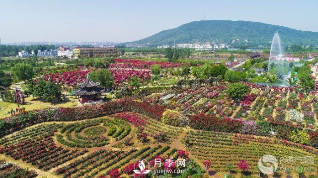 解讀南陽(yáng)三水三山，助力綠色生態(tài)發(fā)展(圖2)