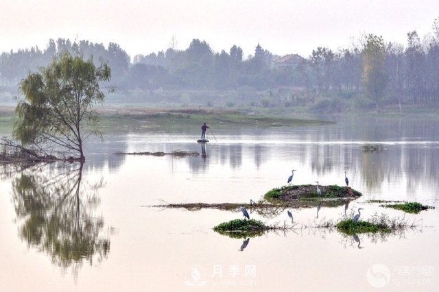 解讀南陽(yáng)三水三山，助力綠色生態(tài)發(fā)展(圖5)