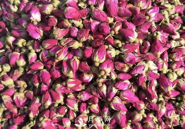 贈(zèng)人玫瑰，手有余香，怎么看待平陰玫瑰(圖1)
