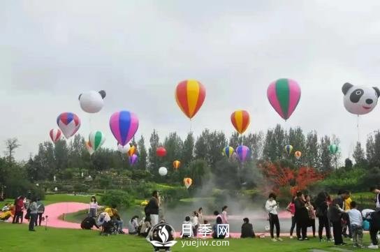 四川南充月季花海迎來1000㎡粉色沙灘，4月3日浪漫迎客(圖8)
