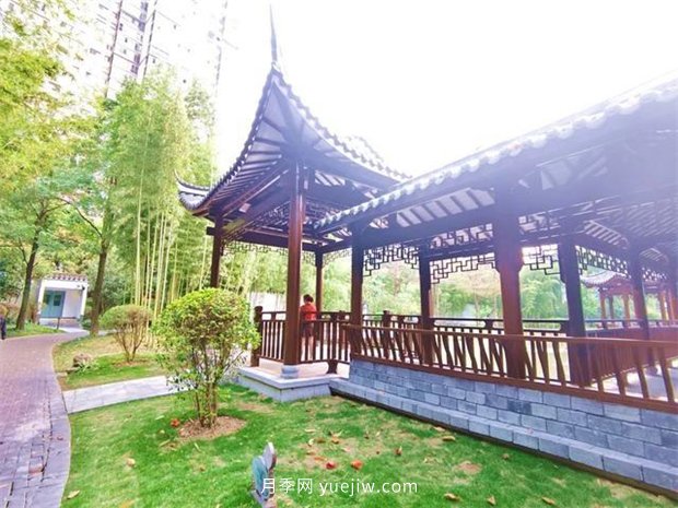 福州茶亭公園月季花開，芬芳美爆！(圖10)