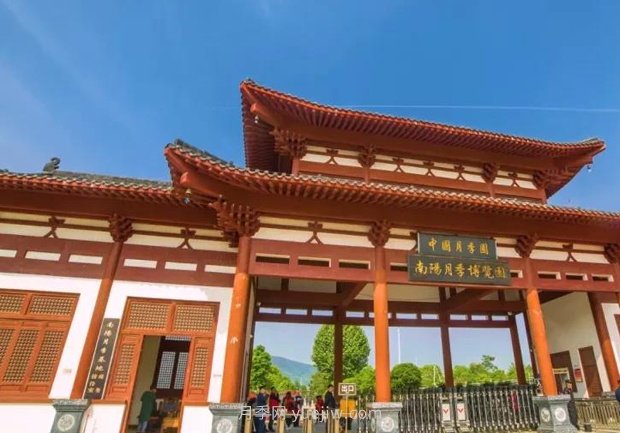 中國(guó)月季園千畝月季花開(kāi)，南陽(yáng)月季人間仙境打卡圣地(圖2)