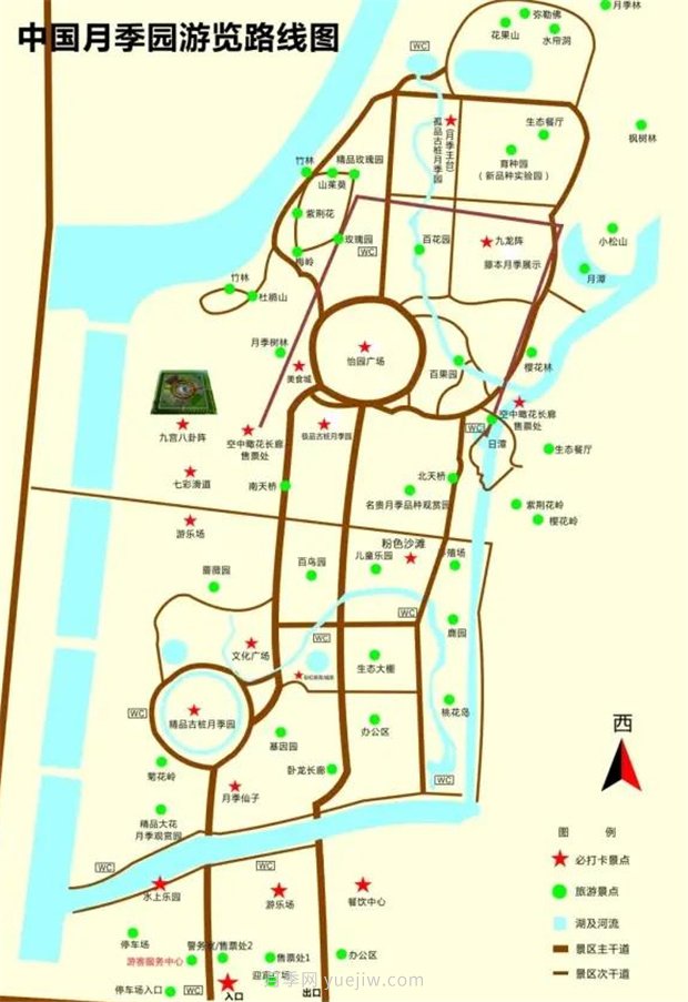 中國(guó)月季園千畝月季花開(kāi)，南陽(yáng)月季人間仙境打卡圣地(圖3)