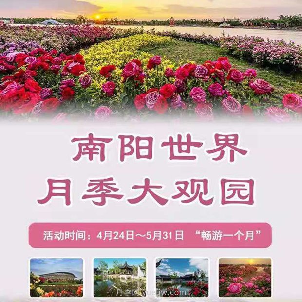 第十二屆南陽(yáng)月季花會(huì)4月29日開(kāi)幕，活動(dòng)豐富多彩(圖1)