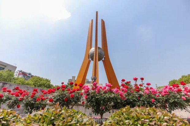 四月盛放的月季時間，湖北宜昌給你的專屬浪漫花園(圖3)