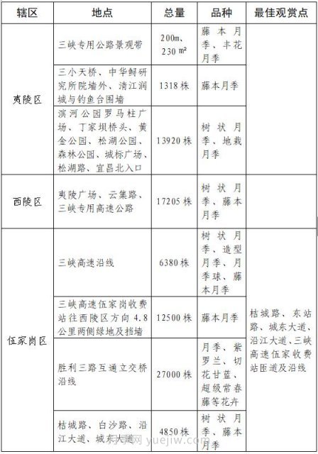 四月盛放的月季時間，湖北宜昌給你的專屬浪漫花園(圖9)
