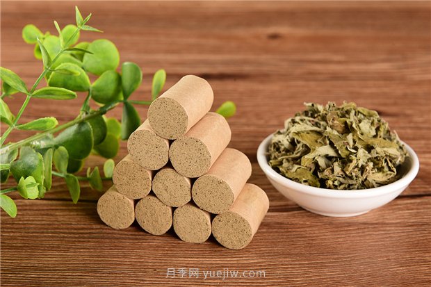 南陽宛艾產(chǎn)業(yè)協(xié)會舉辦艾草研討會，把宛艾做成中國名片(圖1)